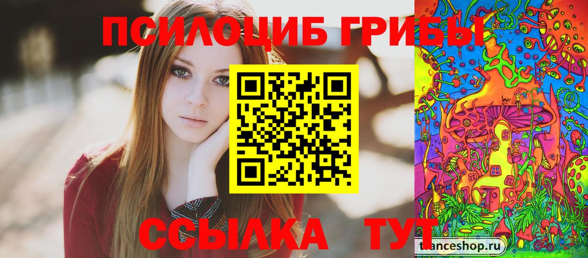 Псилоцибиновые грибы GOLDEN TEACHER  Псилоцибиновые грибы MAGIC MUSHROOMS  Вход с VPN  Сокол 